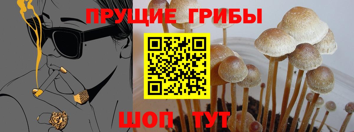 Галлюциногенные грибы мухоморы Георгиевск
